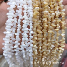 天然淡水海贝马蹄螺三七孔水滴横孔串珠半成品手工DIY配件材料