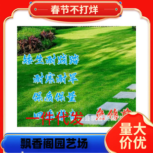 �M������̲�ƺ���Ѱ����ļ���N��߅�¹����ͺ��ͺ����`̤�ݷN��