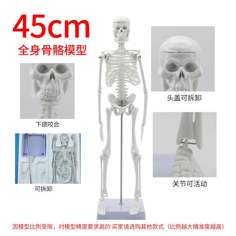 45cmȻ28cmɽѧģ ͯǽ̾߿ƴװ