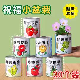 幼儿园儿童种植小盆栽趣味易拉罐头网红祝福绿植种子创意学生礼品