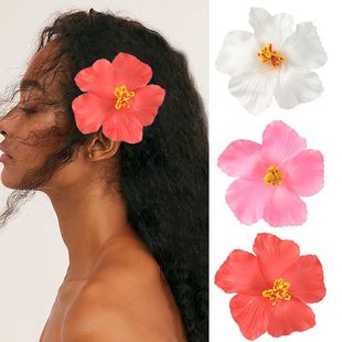 �羳���N9cm��ɣ����߅�l�AӾ�b���滨�����^���l�A��߅���ΰl��