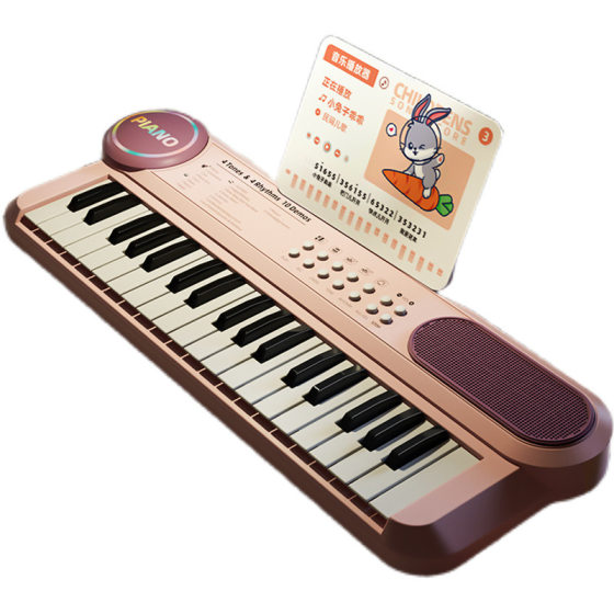 Portable Children's Electronic Organ Multifunctional Educational Musical Instrument Beginner Baby Microphone Boys and Girls Piano Toy Playing