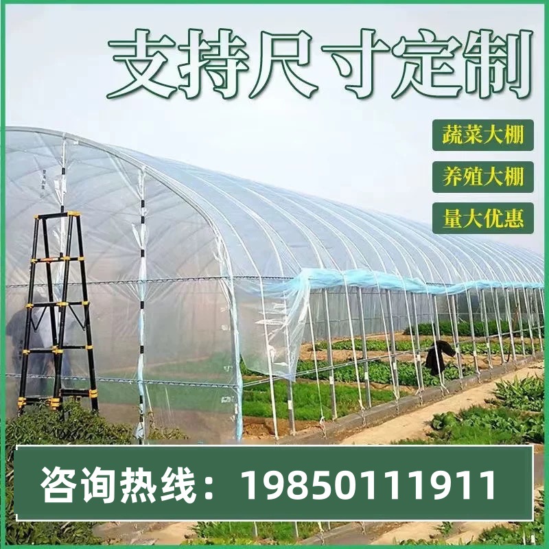Agricultural vegetable breeding planting greenhouse steel pipe greenhouse skeleton full set of greenhouse chicken cattle sheep pig greenhouse factory direct sales