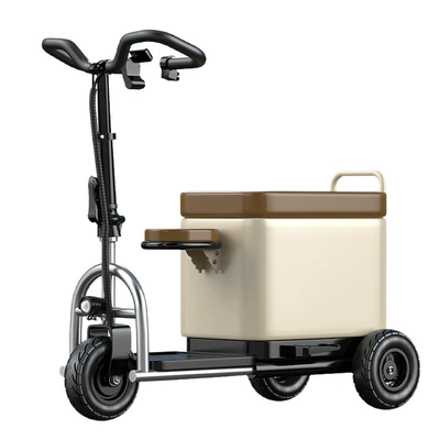 Electric Vehicles, Qatlanan elektrik skuterlər