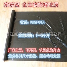 �ژ���ȫ���ｵ��ڵ�Ĥ͸��Ĥ���ݱ���΢����ֽ���mĤ����Ĥ