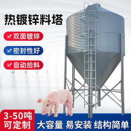 猪场储料塔料线自动上料系统喂料养殖设备饲料桶粮仓料线料仓料塔