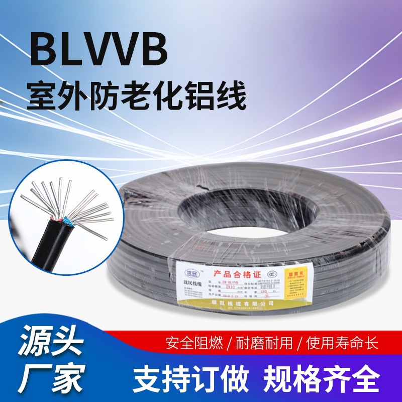 BLVVB2芯10平方双层防老化铝芯线室外电缆架空连接线户外铝线
