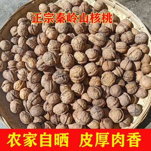 �������ɽ����5���؎XҰ����Ƥ������Ʒ�N2024����؛�Ϙ�ɺ���