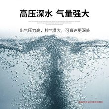 直流氧气泵车载卖鱼运输户外钓鱼海鲜鱼池电瓶增氧泵泵裸泵