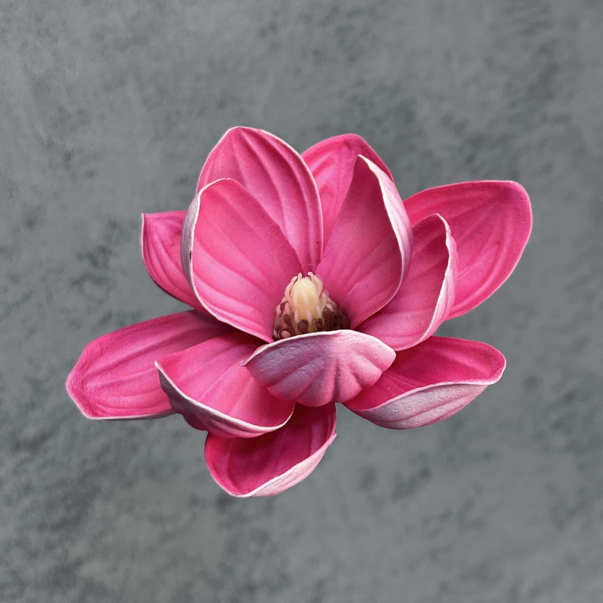 Flor de simulación transfronteriza EVA cabeza de magnolia 13cm tacto tocado kapok decoración decoración decoración flor falsa al por mayor