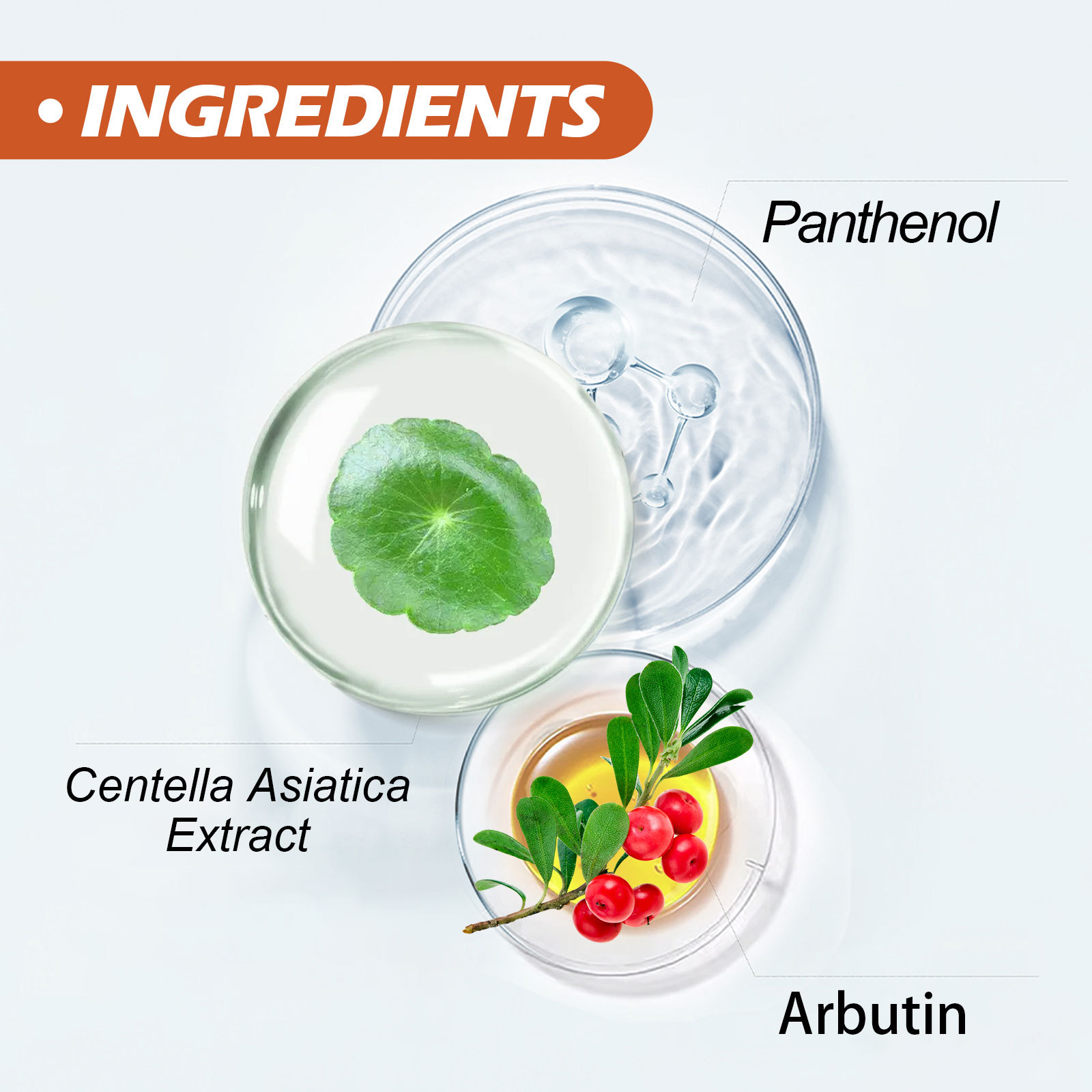 Repararea punctelor negre de la mars pentru axile, gât, articulații mână-picior, iluminarea nuanței pielii și înfrumusețarea corpului_voghion.com