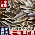 新货生瓜子葵花籽内蒙古新鲜原味熟大颗粒现炒现发炒货批发零食
