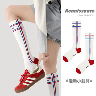 RenaissanceС�ȉ����m�\���mŮ�ܲ����K�T��ͽ����ɽ�����LͲ�m