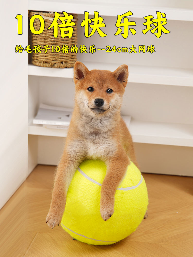개 장난감 공 10 배 해피 볼 초대형 테니스 공 24CM 지루함을 완화하기 위해 개를 즐겁게합니다 SHIBA INU CORGI 프랑스 개 애완 동물 용품