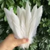 About 50 packets of white pointed hard fluttering 1 pack
