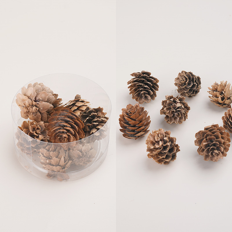 天然アロマキャンドル乾燥果花材クリスマス花輪diy乾燥花材植物標本装飾画松果|undefined