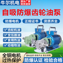 WCB-30����ʽ���������ͱô���������ʽ��ճ�ȱ�ѹ���ͻ��ͳ��ͱ�