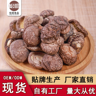 500gɢ�b���㹽���l �o�������������X�� �S��ֱ�N�F؛���l�N��