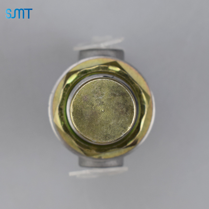 Piezas del autobús del camión pesado de la válvula 4630131120 del botón de SMT