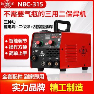 220V Household Electric Welding Machine Integrated Portable High-Power Three-Purpose Multifunctional Handheld Welding Gas Shielded Welding Leidezu