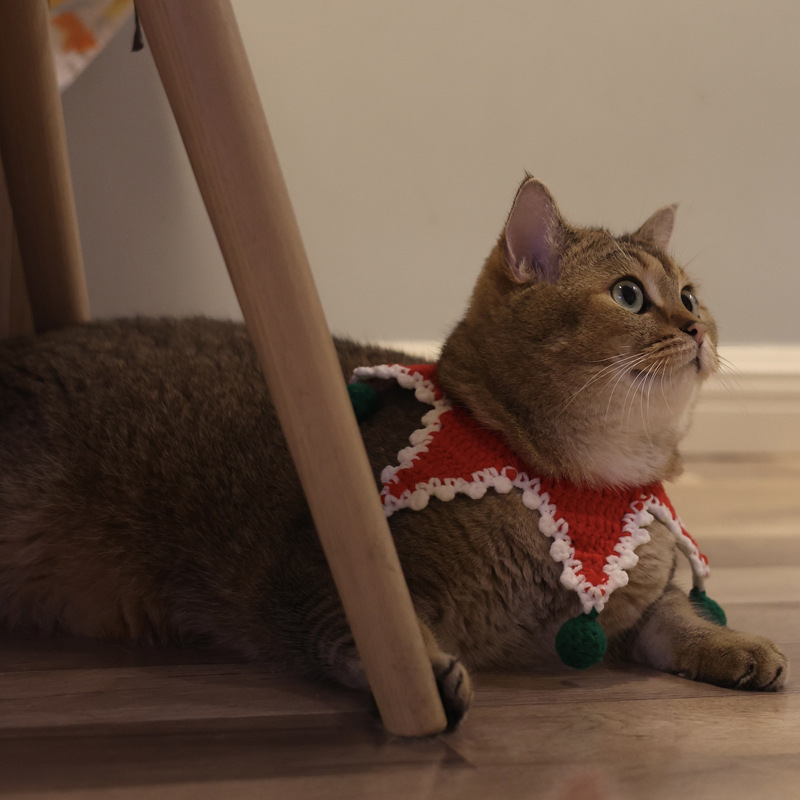 Christmas Pet Collar Variation 4