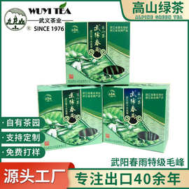浙江十大名茶武阳春雨绿茶高山茶绿茶袋装茶叶出口厂家直供