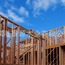 日本桧木 桧木 出售日本桧木 进口实木板材家具材 扁柏香柏木