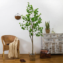 北歐風仿真綠植擺件日本吊鍾植物馬醉木室內客廳裝飾假樹落地盆栽