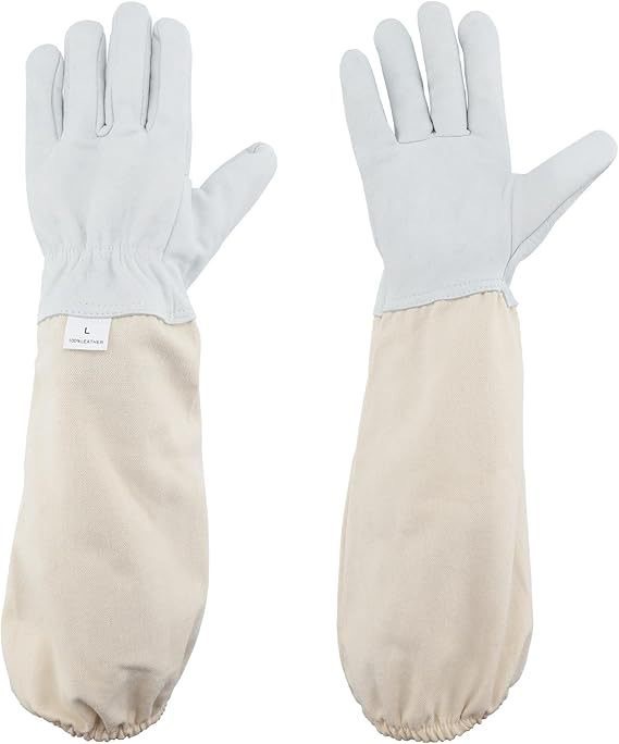 微信图片_20241223112423