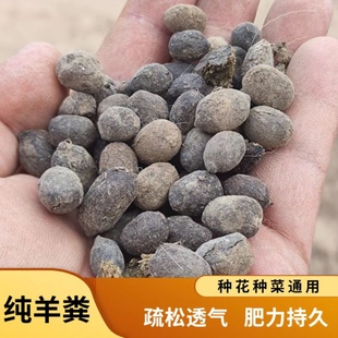 5kg-50kg Sheep Manure Fermented Odorless Organic Bio-Fertilizer Special Decomposed Sheep Manure Granules for Melons, Fruits and Florals