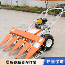 ȫ��С��������C  ���ʽˮ���ն������ո���  ����;�ո�C