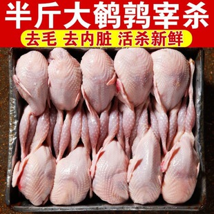 40ֻ��̖ĸ�g�����r�g�����ك��חl�����g���B�F������һ����S��