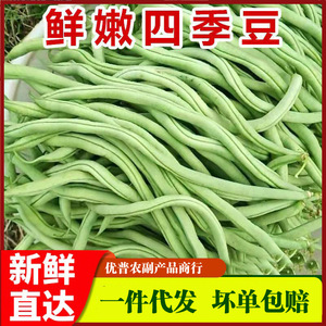 云南四季豆新鲜5斤芸豆长豆角农家时令蔬菜甜青豆角扁毛豆荷兰豆