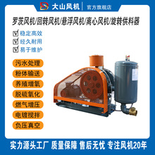 启正回转风机鼓风机配件医院学校生活污水好氧罗茨龙铁百事德章鼓