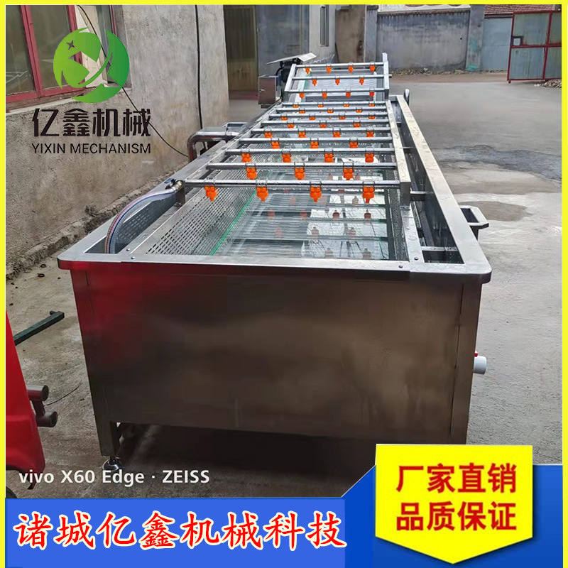 玫瑰花菊花气泡清洗机 大姜喷淋式鼓泡清洗机 自动提升南瓜清洗机