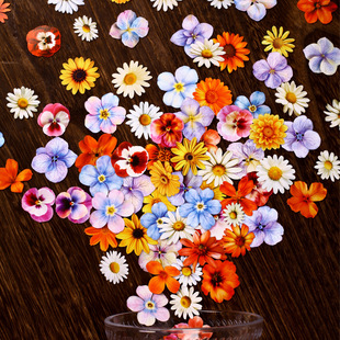 Retro Story�N�������ϵ�����L�������}���~DIY�b��N25ö��6��