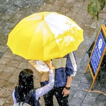 现货 小黄伞遮阳伞女黑胶晴雨两用高颜值防晒太阳伞学生上学专用
