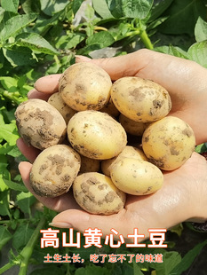 ��ʩС����10����S���]�r�����r���������S��ʿ�������R����߲�
