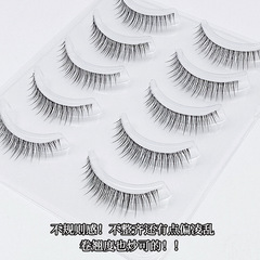 Dai Feng Yan DFY-22 Entire Transparent Soft Stick False Eyelashes Daily Use Short and Slim Stick Eyelashes 5 Pairs Set