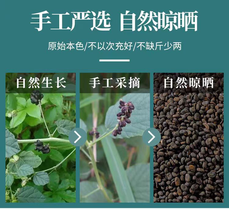 Bu Gu Zhi (Psoralea corylifolia) — Salt-Processed Food Herb, 500g key features