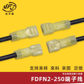 加工定制FDFN2-250尼龙公母全绝缘4-6平方线 FDFN2-250插簧端子线