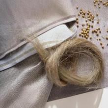 �����w�Sԭ�� ���w�S 100��38Ԫ