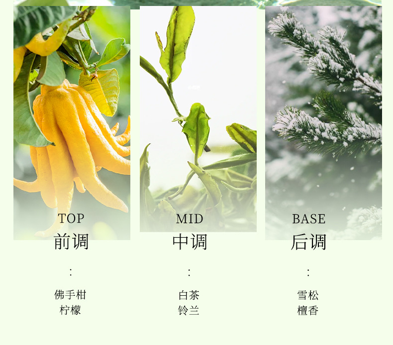 Xiaomanyao Cologne Men's Car Fragrance New Long-Lasting Scent High-End Car Perfume for Odor Removal in Vehicles