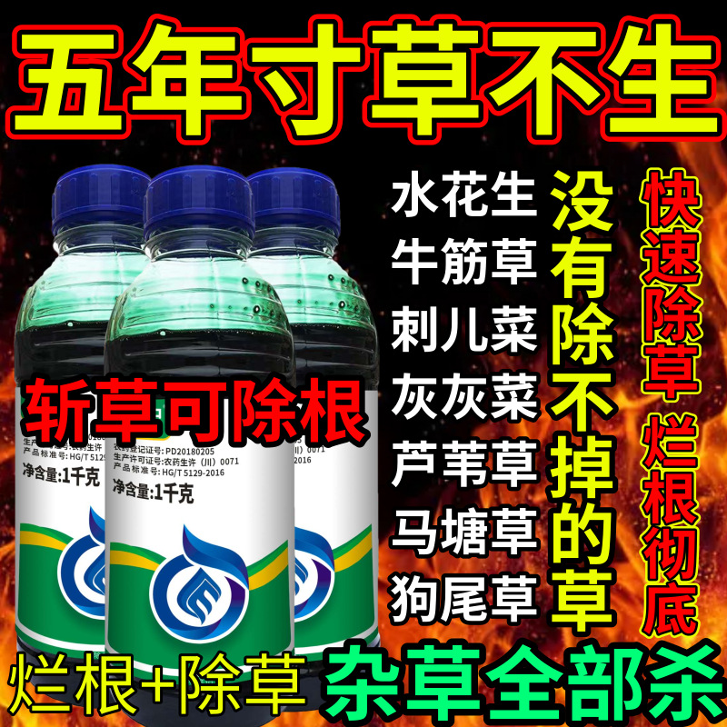 五年寸草不生死根烂根草剂斩草除根荒地果园专用除草剂草铵膦除草