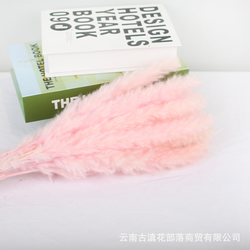 15 작은 핑크 갈대