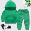 Green hoody, sweatshirt