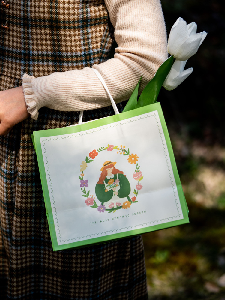 烘焙面包青团手提包装袋子甜品蛋糕下午茶大号外卖打包袋购物袋