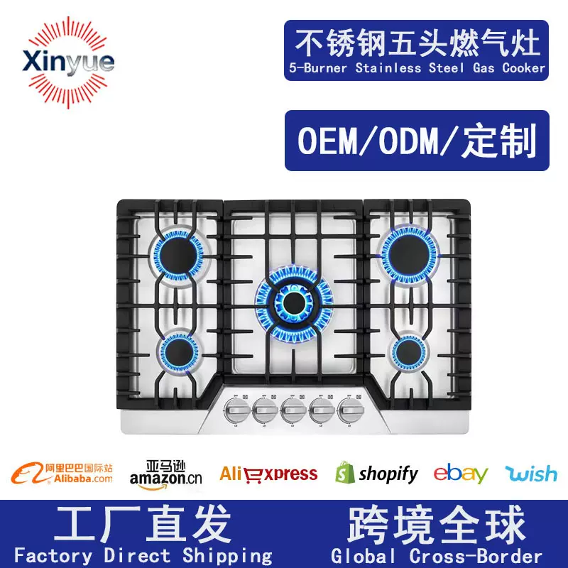 跨境燃气灶多头炉烹饪具不锈钢燃气灶具台嵌两用燃气灶5头燃气灶