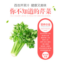 西吉芹菜汁 飲料輕斷食代餐果蔬汁250ml*12瓶 無糖植物復合果蔬汁