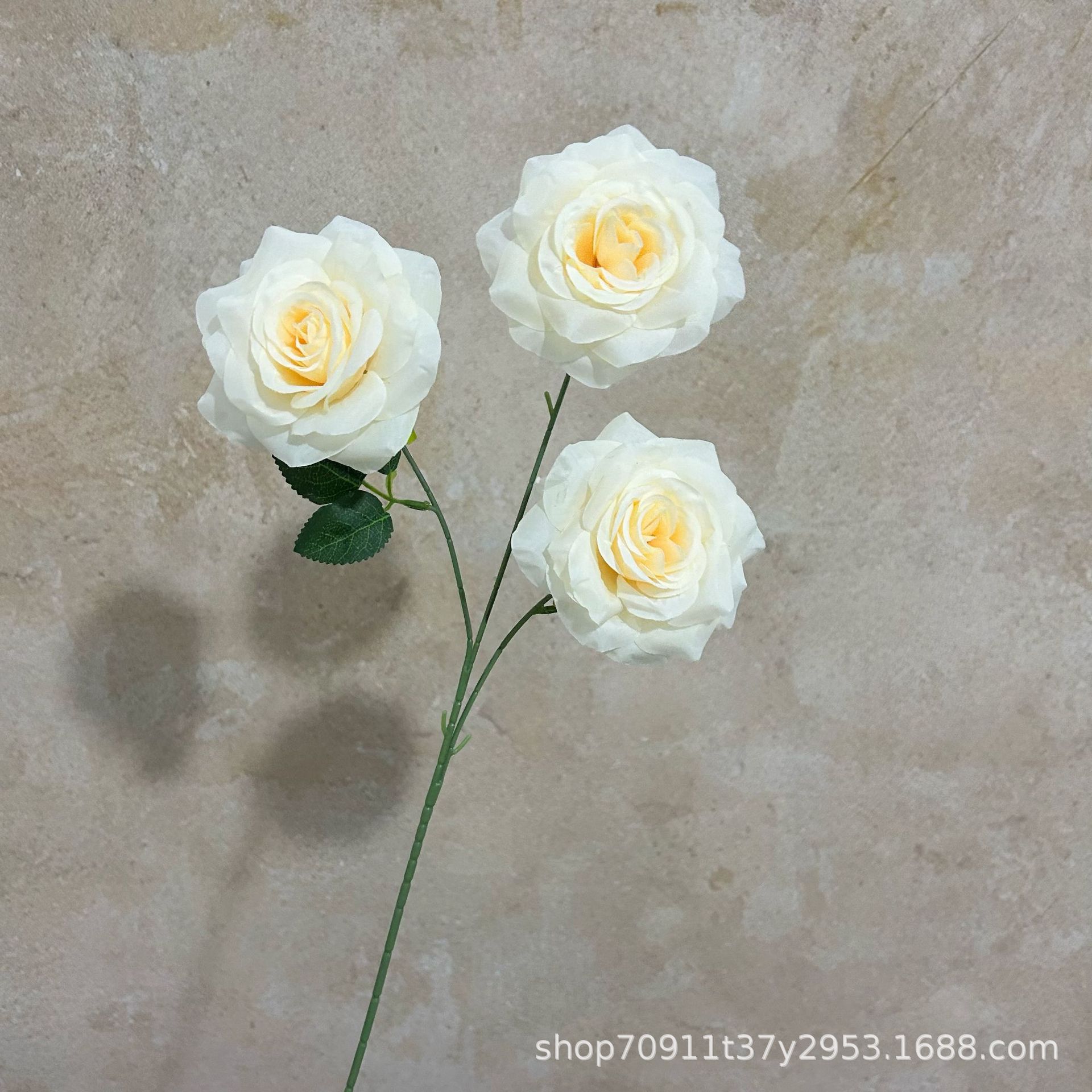 잎이 있는 샴페인